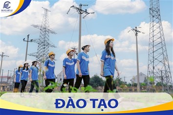 Thông báo đào tạo