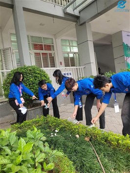 Đoàn viên thanh niên ra quân “thứ 7 xanh”
