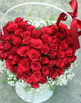 PGS.TS Đinh Văn Châu chúc mừng Ngày Phụ nữ Việt Nam 20/10