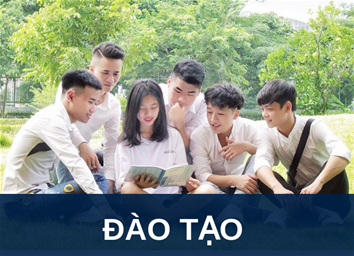 Thông báo đào tạo